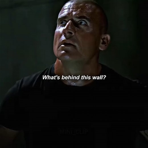 17K views · 381 reactions | Prisonbreak the movie #tiktok #foryou #fyp #crime #series #prison #prisonbreak | Modern Family Scenes | Facebook