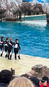 Classic behavior for her birthday! (Corky) #SeaWorld #killerwhale #orca #corky #sewworldsandiego | RukatheBlackfish Photography