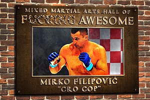 The MMA Hall of F@#$%&G Awesome: Mirko Filipovic