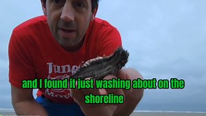 17K views · 385 reactions | They are so Alien like ☺️ | Get Wild | Facebook