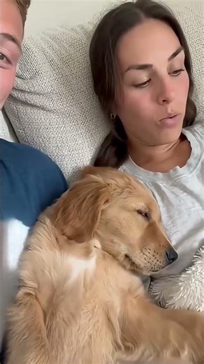 Cat Printer Technician! | Funny Animal Moments