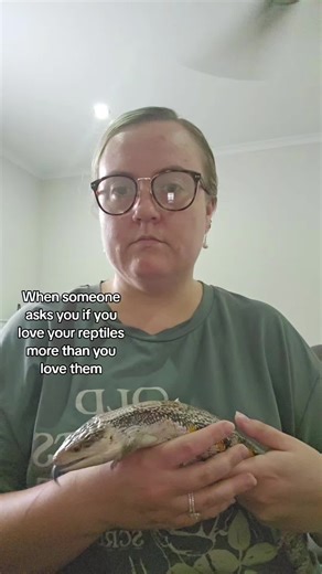 Sorry not sorry 🤣 — #bluetongueskinksoftiktok #reptiletok #bluetonguemorphs