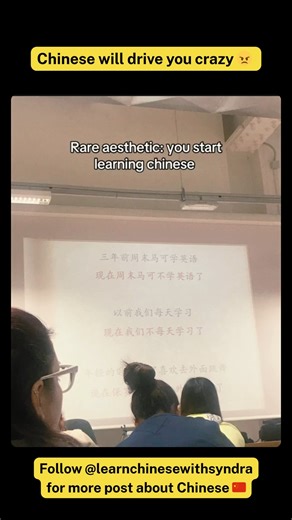 Learn Chinese with Syndra on Instagram: "Rare aesthetic: You start learning chinsese and you know chinese will drive you crazy #learnchinese #language #fyp #explore #pinyin #mandarin #hanzi #zhongwen"