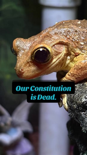 Sinkfrog says: Our Constitution is Dead. #Sinkfrog #Sinkfrogstrong #constitution #voting #fascism #