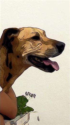 Cartoonize Your Video with AKVIS Stencil Video! #animation #videoprocessing #visualeffects