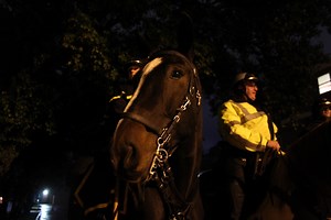 One of our freelance reporters got up close and personal with the Athens Police Department’s Mounted Unit during this year's Halloween. Read more about the unit in the related article: https://bit.ly/2Rz7VUn Video by Abbey Marshall | The Athens Messenger