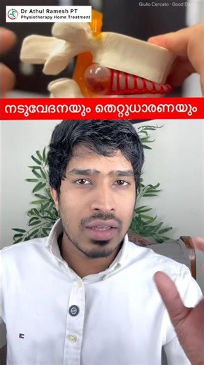 നടുവേദനയുടെ ചില കാരണങ്ങൾ #drathulrameshpt #lowerbackpain #discherniation #discbulge