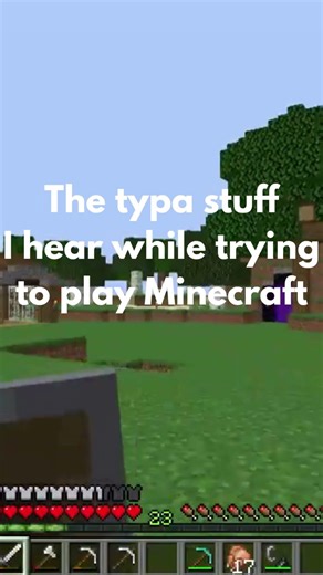 Just let me play Minecraft bro