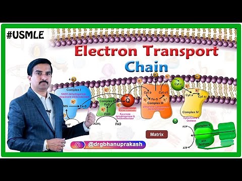 Electron Transport chain Animation USMLE Step 1 : Dr G Bhanu Prakash