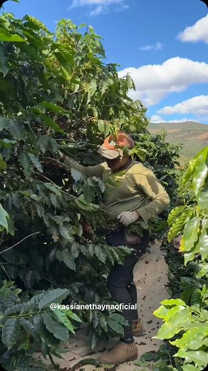 Postei e saí correndo esta canção é minha preferida representa muito minha história 🙇🏽‍♀️🙌🏾 | Kassiane Thayna