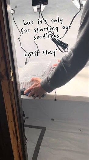 Grow Room Glow Up on a Budget 🌱 #gardening #plants #garden #diy #grow