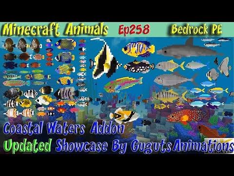Coastal Waters Addon Update Showcase GugutsAnimations BedrockPE Minecraft Animals Ep258
