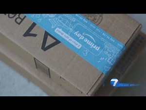 Amazon Brushing Scam | I-Team Investigation