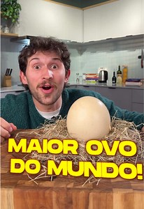 Ovo de Avestruz Gigante: 24 Ovos Normais em 1!