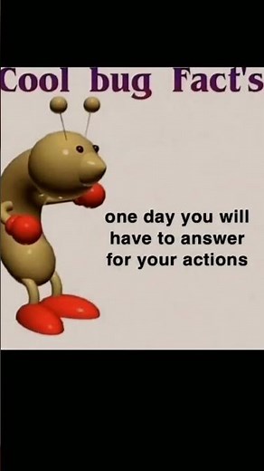 cool bug facts: one day you will have to answer for your actions