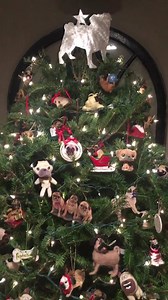 80K views · 1K reactions | Beautiful PUG Christmas Tree❤️ www.instagram.com/pugdashians | Pug Cafe | Facebook