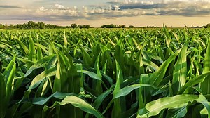 This is AGCO. We provide high-tech solutions for farmers feeding the world. We are proud of the work we do and even more proud to be working side by side with the world's finest farmers. | AGCO