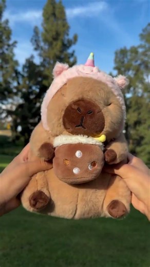 Website: CapyPlush.Store ‼️ Link 🔗 in Bio 🤭 #capybara #gift #capy #softie #plushanimal