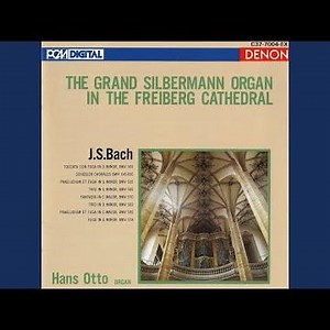 Schubler Chorales: II. Wo soll ich fliehen hin, BWV 646