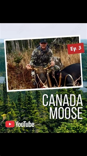 Rule 1 Outdoors on Instagram: "Jody’s Newfoundland Moose Hunt 🫎🎥 Premieres tomorrow at 3 PM CT! #R1Outdoors #hunting #moose #video"