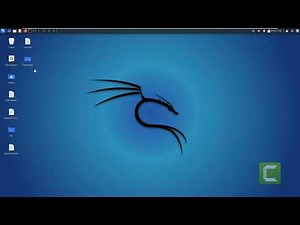 How to check LHOST IP in Kali Linux