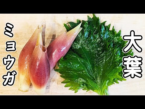【ミョウガと大葉のレシピ】切って和えるだけ。簡単な副菜の作り方 火を使わないおいしいおかず。