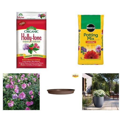 Potting Soil 50 qt, Holly Tone Fertilizer 27 lb, Rose of Sharon, 18 in. Planter, 14.2 in. Saucer Combo - The Home Depot