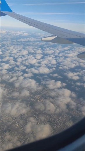 Flying high with FlyDubai ✈️#shorts #shortvideo #reels #trendingshorts #viral #viralvideos#fyp