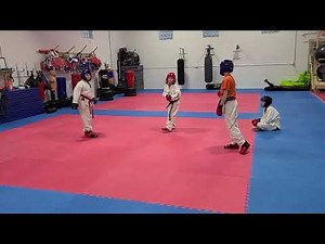 Kid gets kicked in the Balls during point sparring.