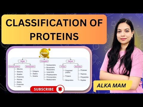 Classification of Proteins | Based on Structure & Nutritional Value | Easy Explanation | ALKA PANDEY