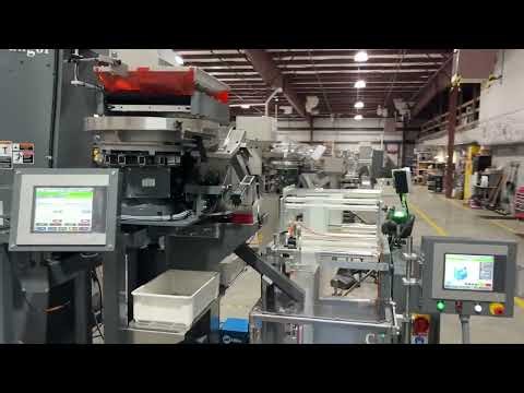 C295 Bagger with Dual BMIV Counters & Floor level hopper