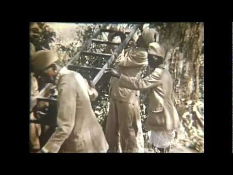 Tiger Shikar in India - A Tiger Hunt in India by Ellis Dungan