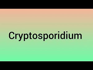 Cryptosporidium | Pathogenesis & Epidemiology | Clinical Findings | Treatment | Microbiology |