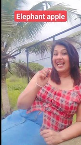 338 reactions · 45 shares | Apples #englishtipsdaily #englishtipsonline #englishvocabularyforbeginners #englishteaching #englishtips4u #englishteacherlife #englishgrammar #English #englishspeaking #englishlanguage #englishteacher #englishtips #englishteacher @everyone | Bini Rose | Facebook