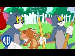 Tom et Jerry en Français | Tom rentre à la maison | WBKids