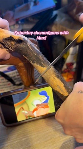 Max‘s obsession this week is Pinocchio. He wants to be a woodcarver just like Geppetto! He wanted a particular portion of this stick. He found out in the yard to little on with a butter knife. Of course I had to make it happen. So, I busted out my little hand saw And made his Pinocchio wish come true. This boy keeps me busy!💝🥰 #asd #autismawareness | Cheyenne Marie