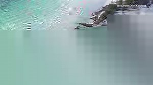 43K views · 232 reactions | A new drone video shows Honeymoon Island split in half, temporarily becoming two islands. bit.ly/4di7ZCh | WFLA News Channel 8 | Facebook