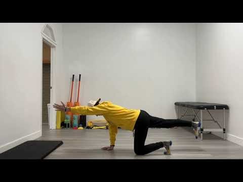 Isometric Quadruped Bird Dog