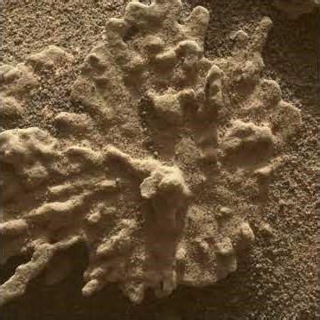 MARS Rover Curiosity Views a Martian Rock Shaped Like Coral #curiosityrover