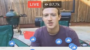 Mark give me the zucc | Mild and Crunchy Memes