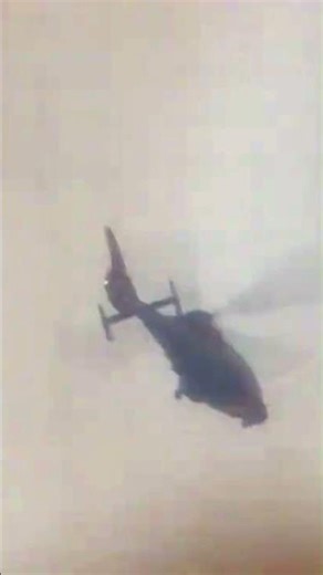 Low-flying Eurocopter Dauphin throbs overhead! #shorts #helicopter #aviation