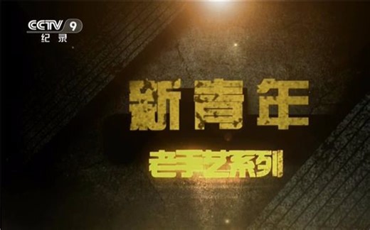 【1080P】【国语中字】央视纪录片《新青年：老手艺系列》