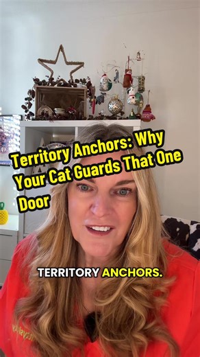 Your cat isn’t being dramatic they’re guarding a border. Here’s what that means Does this happen in your home? Tell me which door and I’ll tell you why it’s special to your cat. #multicathome #catbodylanguage #catbehaviorist #kittysitty #catsoftiktok