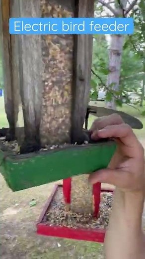 Electric Bird Feeder ZAP THE SQUIRRELS 🐿