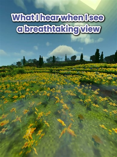 Take a Breather with Me in Minecraft