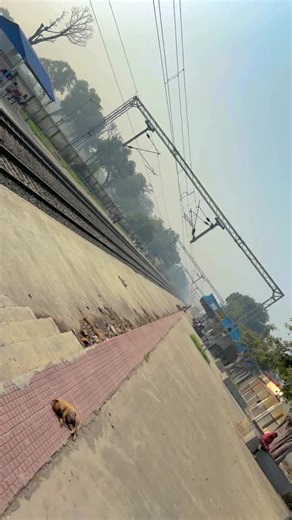 @raja Chamar on Instagram: "‼️SYSTEM‼️💪👑⚜️🦁🦅 #lipstick #shadowsense #senegeedistributor #mysenelook #lipsendistributor #beauty #lipstickaddict #lipstklover #lipgloss #lipstik #senegeninternational #kissproof #smudgeproof #skincare #lipmatte #waterproofmakeup make up #pinklipstick #lipsmatte #lipboss #powerlips #makeupartist #lipstikhalal #kosmetikviral🥷🥷 Jay Bhim 💙 @raja___jatav143"