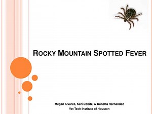 Rocky Mountain Spotted Fever - SlideServe