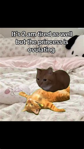 Relatable 😭? #relatable #couple #gf #bf #viral