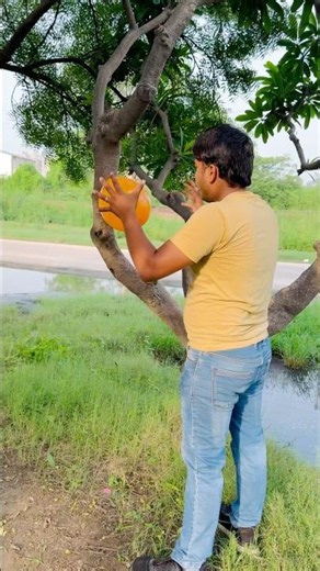 Monkey ka ballon fod diya 😂 #comedy #youtubeshorts #shorts #trending #shortsfeed