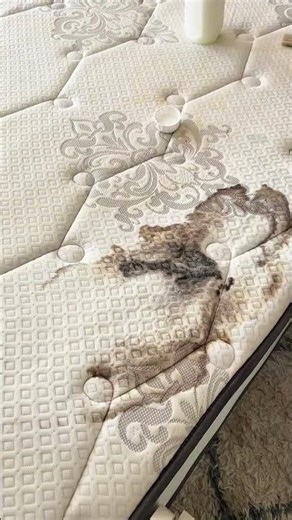 mat cleaning video #deepcleaning #cleaning #clean #satisfying #satisfyingcleaning #beforeafter